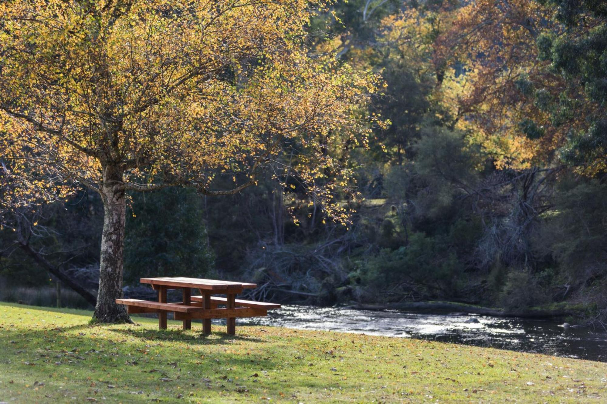 Oscar'S On The Yarra Ξενοδοχείο Warburton Εξωτερικό φωτογραφία