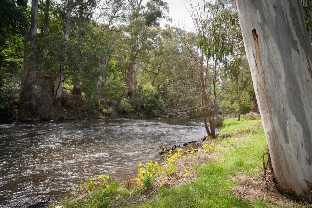 Oscar'S On The Yarra Ξενοδοχείο Warburton Δωμάτιο φωτογραφία