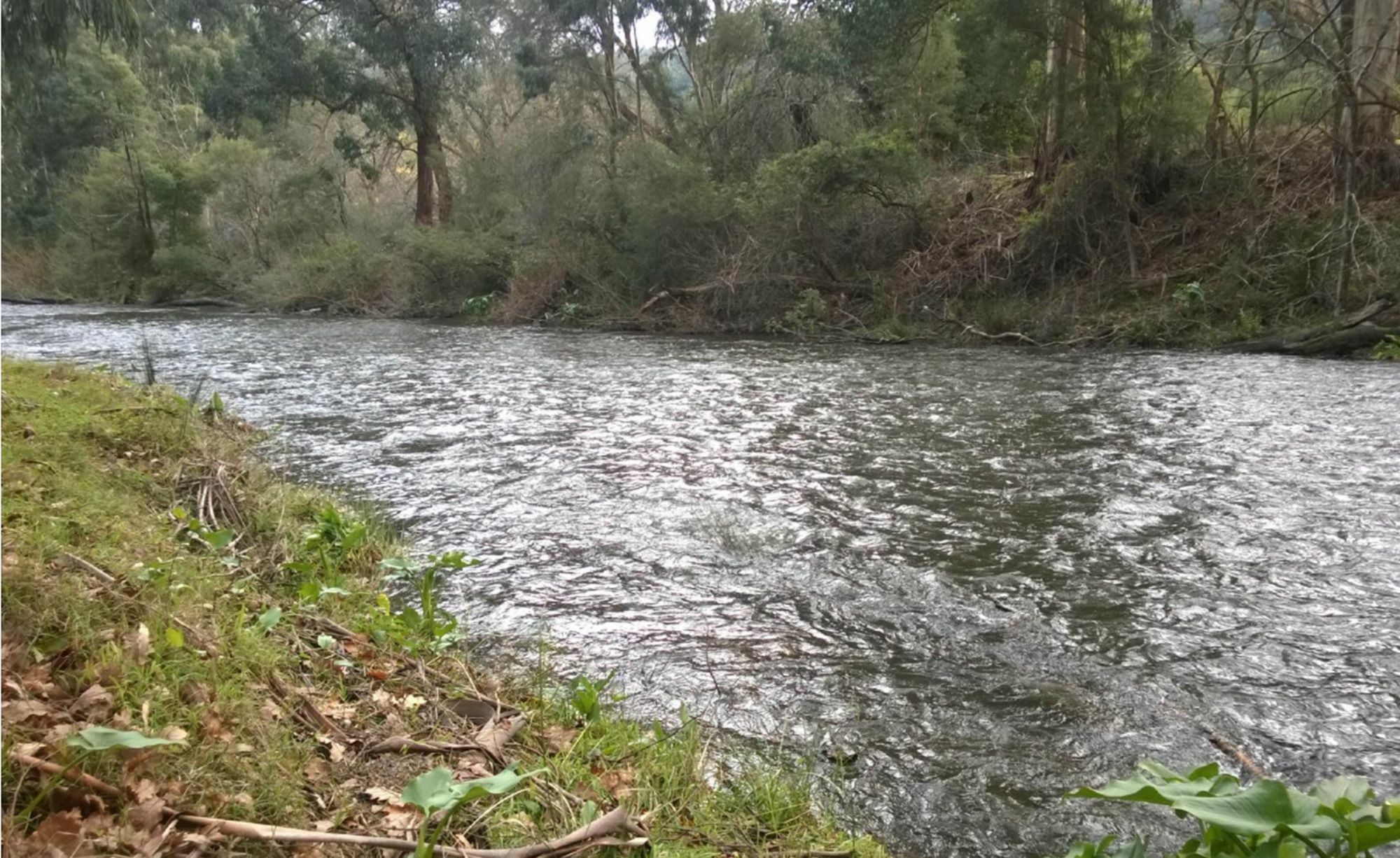 Oscar'S On The Yarra Ξενοδοχείο Warburton Εξωτερικό φωτογραφία